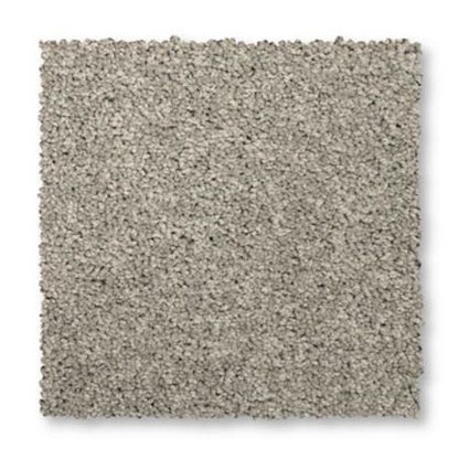 Vitalize II in Winter Ash Carpet