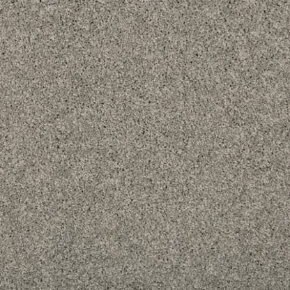 Renovate II in Winter Ash Carpet