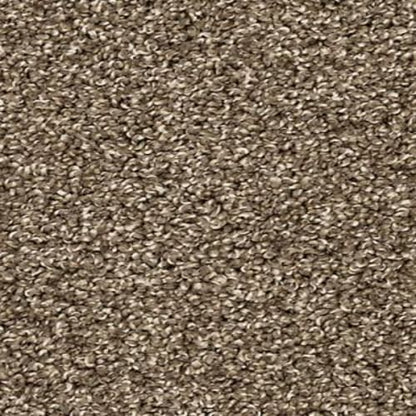 Diffurent Choice I in Legend Carpet