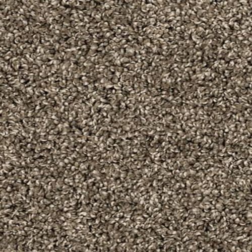 Purrsonality I in Matte Carpet