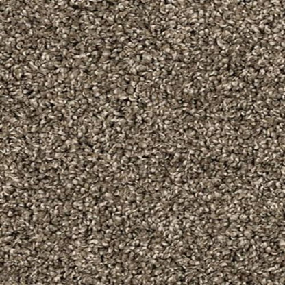 Purrsonality I in Matte Carpet