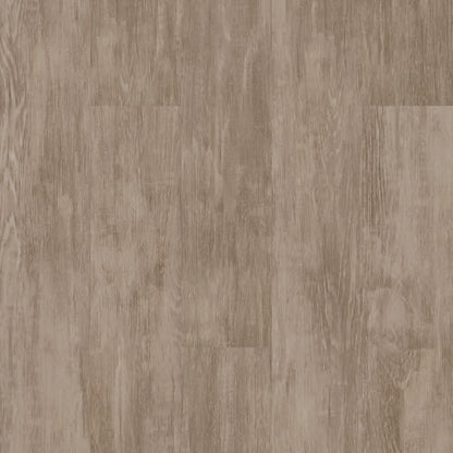 PURVIEW SPC CLICK in Patina