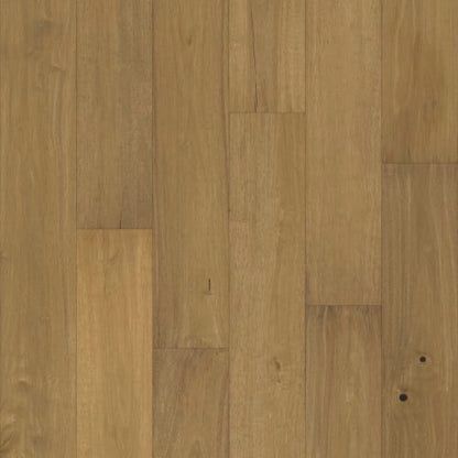 Pacific Pecan in Tabor Pecan