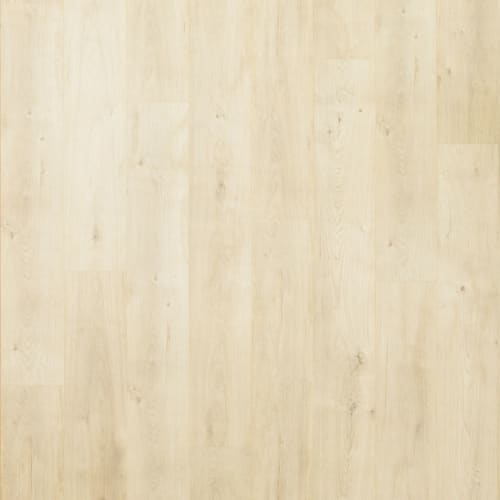 Preferred LeGrand in Palisade