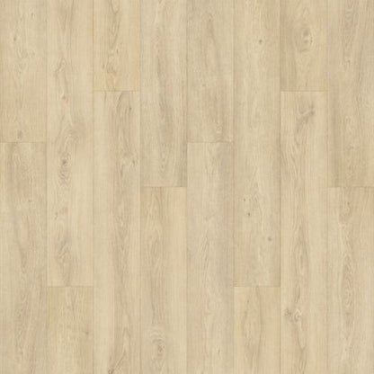 Danish Overlook in Ivory Coast Oak