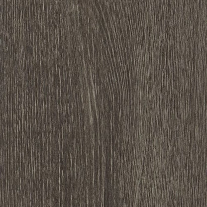 SYMBIOTIC 12 in Carbon