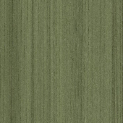 COLOR RANGE 20 in Cactus