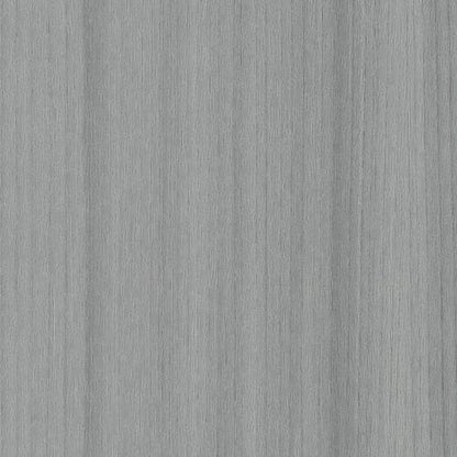 COLOR RANGE 20 in Silver