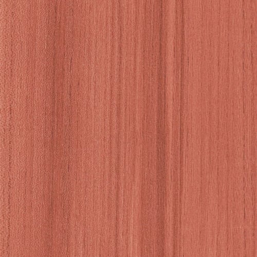 COLOR RANGE 20 in Coral
