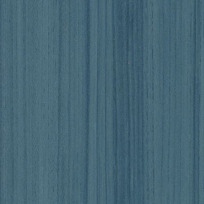 COLOR SCOPE 30 in Caribe