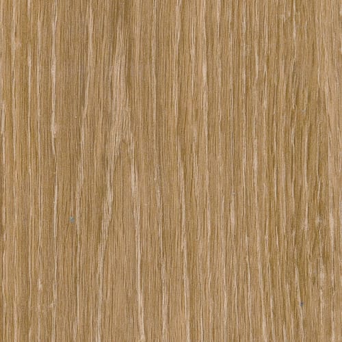 SYMBIOTIC 5.0 in Reed