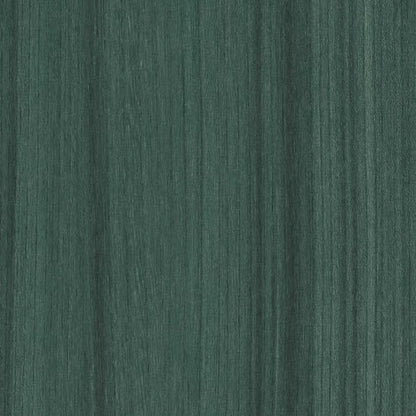 COLOR SCOPE 5 in Arbor Luxury Vinyl