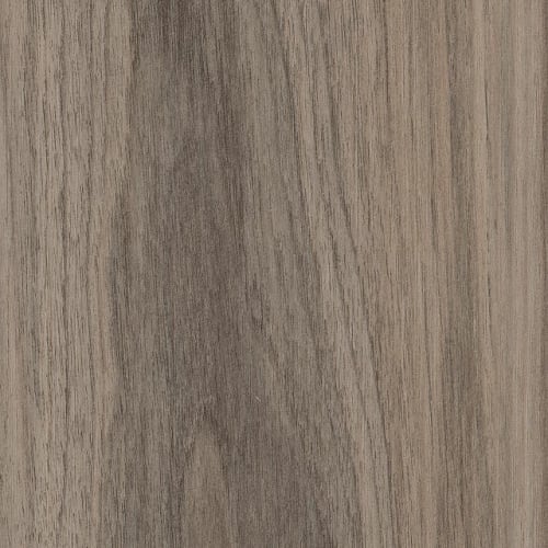 SYMBIOTIC 5.0 in Sparrow