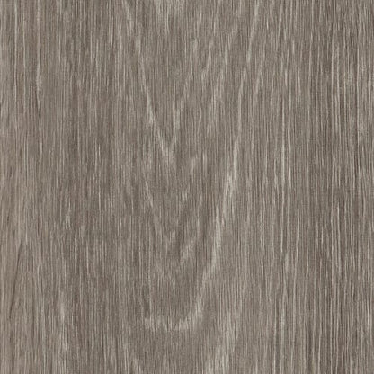 IN THE GRAIN II 5.0 in Milo