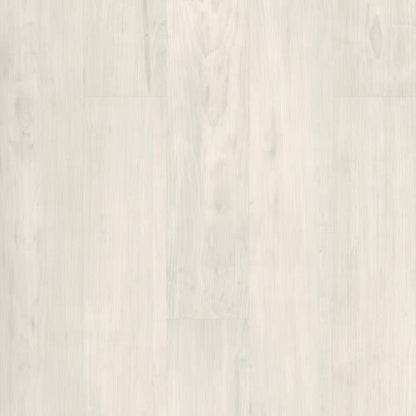 PURVIEW 5.0 in Bone