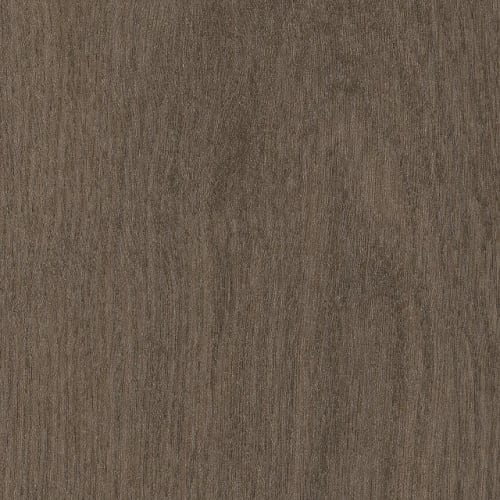 Willow Oak 20M in Foothills Oak