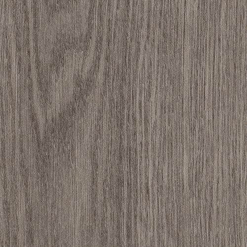 Willow Oak 30 M in Tavern Oak