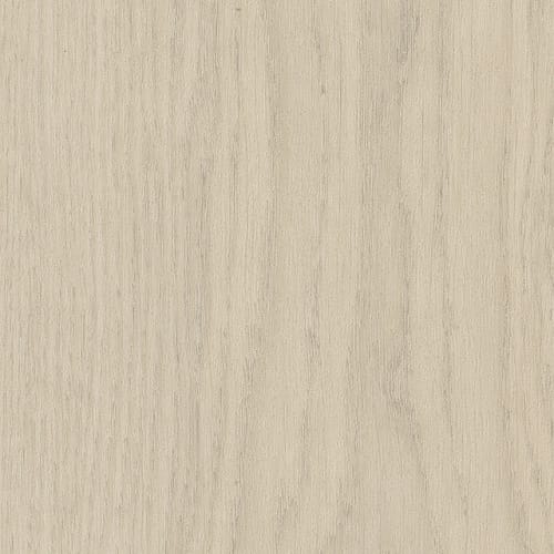 Willow Oak 4Mm in Natural Oak