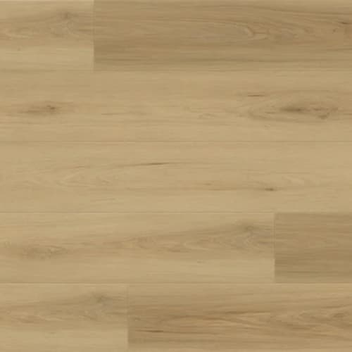 Bear Woods Collection in Siena Beige