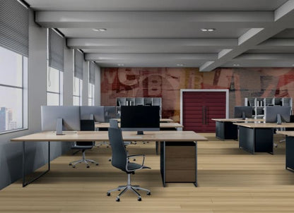 North Forest Collection in Verona Light Laminate