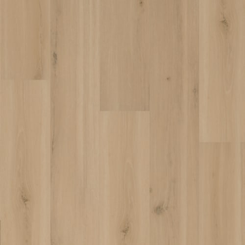 ADURARigid - Swiss Oak in Almond