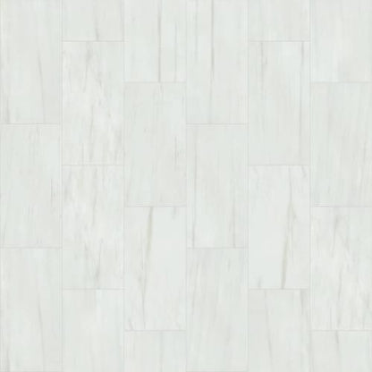 VISION 12X24 POLISH in Bianco