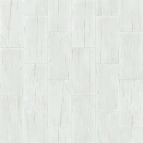 VISION 16X32 POLISH in Bianco