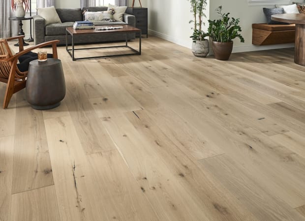 Latitude Collection - Sanctuary in Shell Hardwood