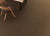 Shades 2.0 in Russet 6"x24" Unpolished Tile