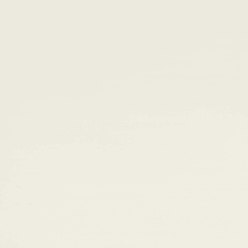 Shades 2.0 in Frost 24"x24" Unpolished