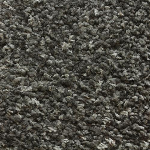 Shaggy Plush in Charcoal Carpet
