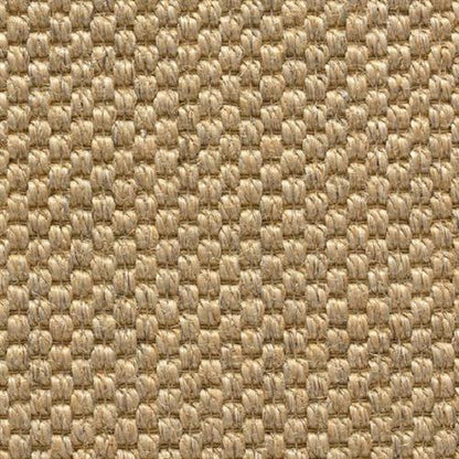 Sahara
