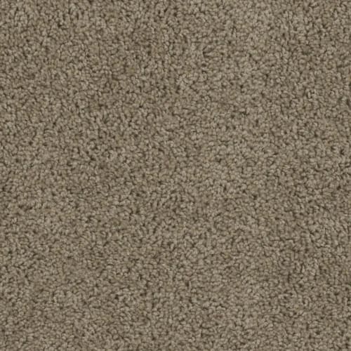 SP250 in honey Beige Carpet