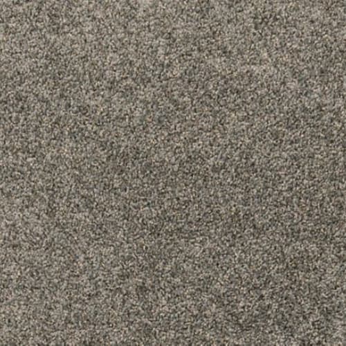Paw Pathway