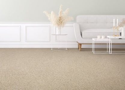 Colorful Blend Ii in 879 Carpet