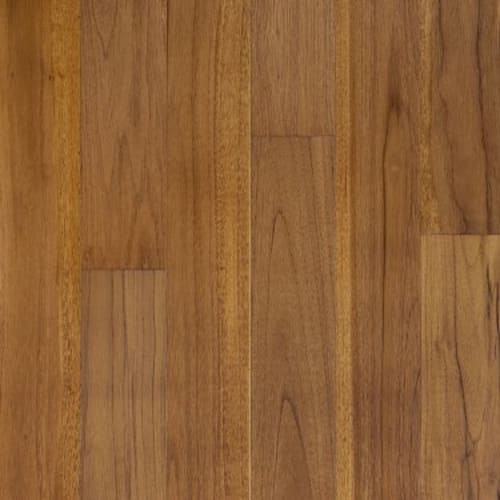 REGATTA TEAK 5" in Mainsail