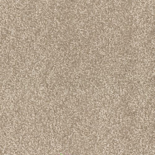 Spring Fling in Bungalow Carpet