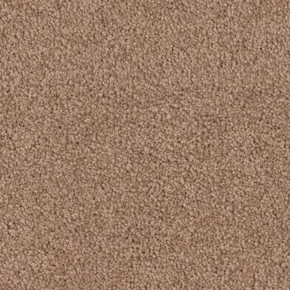 Summer Breeze in Sunset Carpet