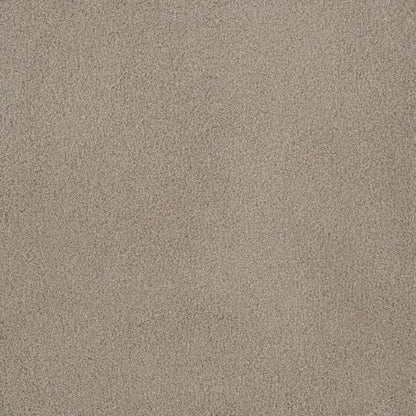 PALMETTO I