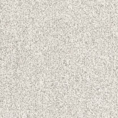 Tundra in Polar Carpet