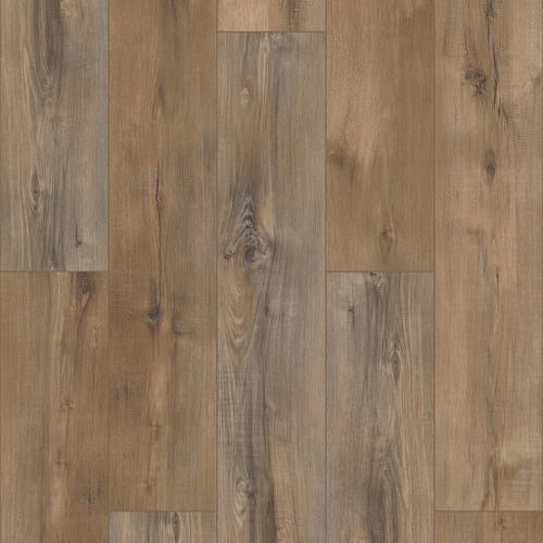 Coretec Pro Plus Enhanced Planks in Portchester Oak
