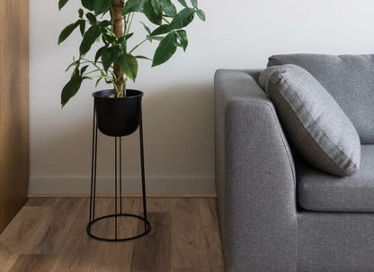 Coretec Pro Plus Enhanced Planks in Westlake Hickory Luxury Vinyl