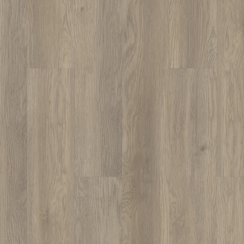 INDWELL SPC in Willow Oak