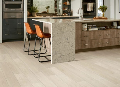Paladin Plus in Silver Dollar Luxury Vinyl