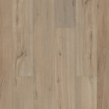Victor Plus in Driftwood