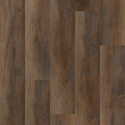 SETUP in Highlight Oak