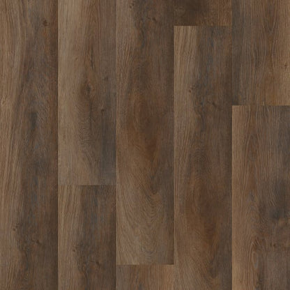 SETUP in Highlight Oak