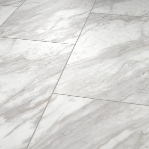 PARAGON TILE PLUS in Oyster