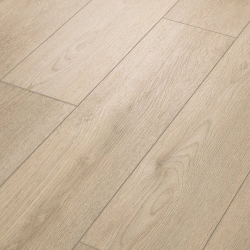 Paladin Plus in Soft Beige