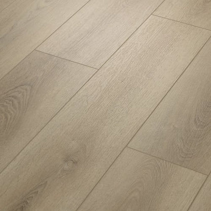 Paladin Plus in Toasted Taupe